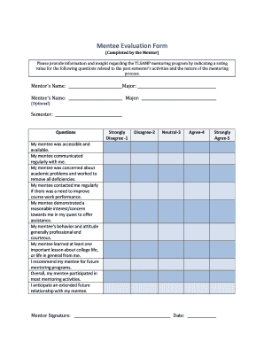 Mentoring Report Template  Form
