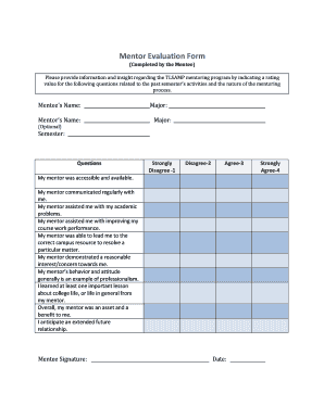 Mentor Evaluation Form