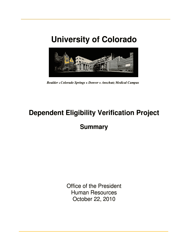 Summary of Dependent Eligibility Verification Project Final DOCX Cu Form