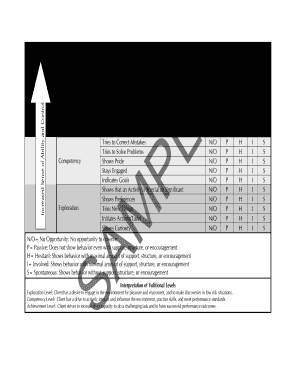 Volitional Questionnaire PDF  Form