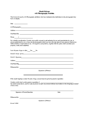  Model Release Form 2008