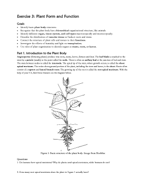 Plant Structure Worksheet PDF  Form