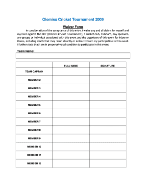 Cricket Tournament Form