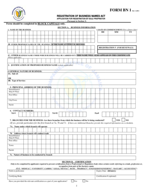  Form Bn1 2011-2024