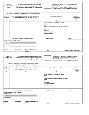Professional Tax Challan PDF  Form