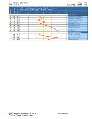 Intelligence Structure Test PDF  Form