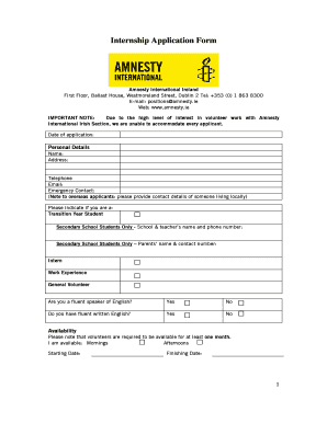 Amnesty Application Form