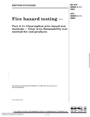 Iec 60695 11 10 PDF  Form