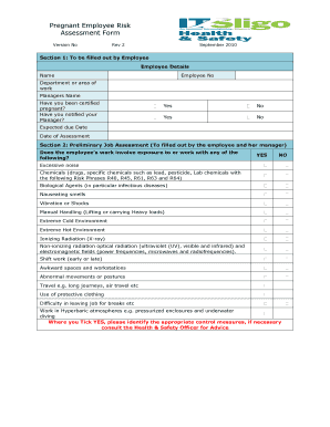 Pregnancy Risk Assessment Template Word  Form