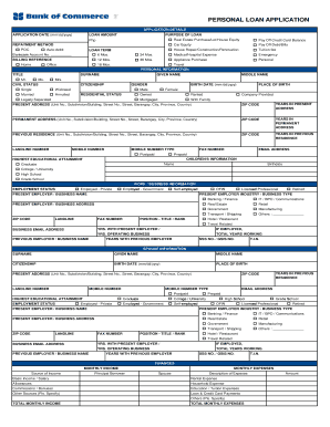  Loan Application Form Template Word 2011