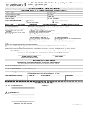 Intellicare Loa Form