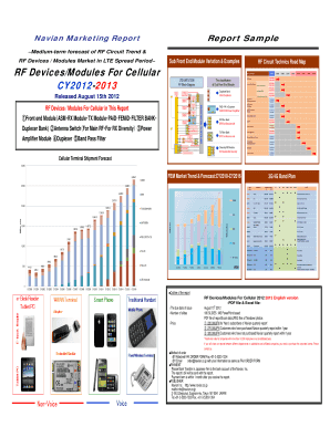 Navian Marketing Report Form