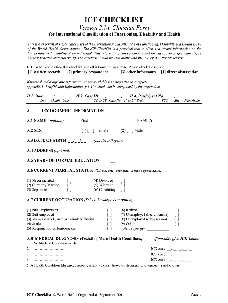  Icf Model Template Word 2003-2024