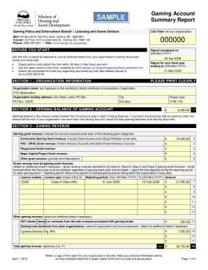 Gaming Account Summary Report Template  Form
