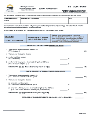 Es Audit Form