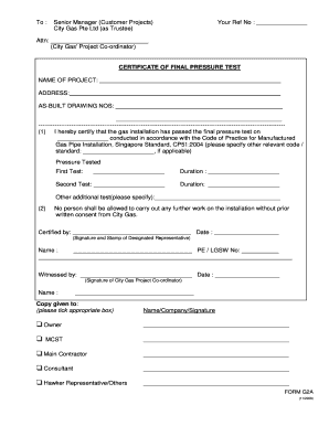  Gas Testing Form 2013