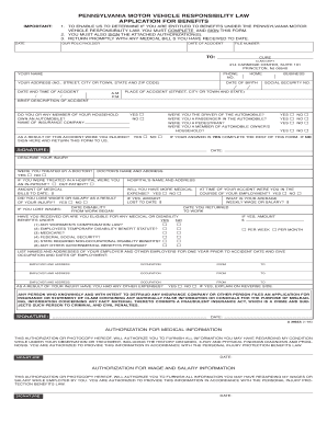 Pip Application  Form