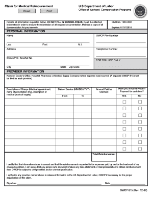 Fill in the Blank Budget  Form