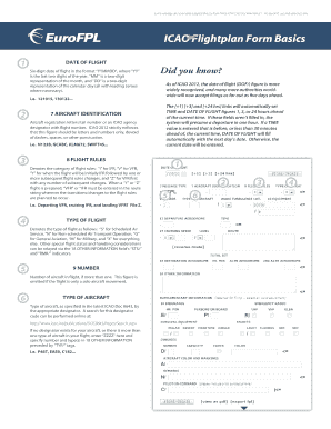 Icao Flight Plan Format