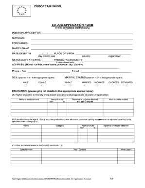 European Union Application Form