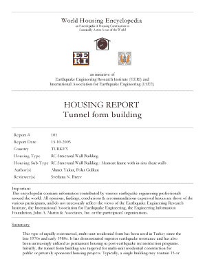 Tunnel Formwork System PPT