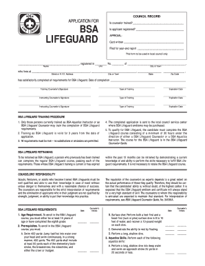  Bsa Lifeguard Card 2002
