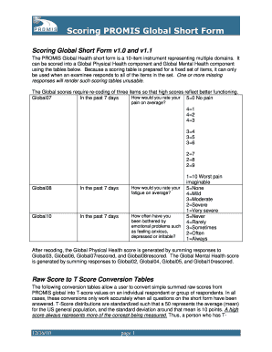 Promis 10 Questionnaire PDF  Form