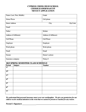 Cheer Evaluation Form