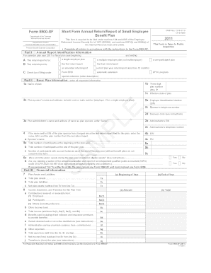 Blank Form 5500 Sf