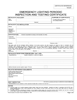 Niceic Emergency Lighting Certificate Example  Form