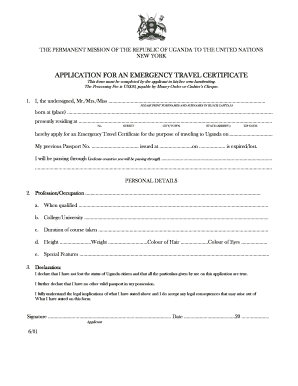  Sample Letter for Emergency Travel Document 2001