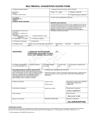 Multimodal Dangerous Goods Form