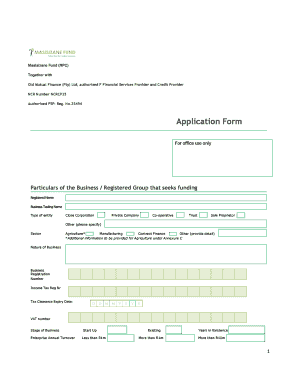 Masisizane Fund Application Form