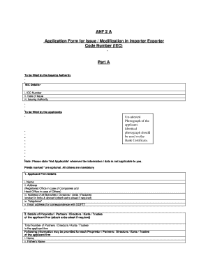 Iec Modification  Form