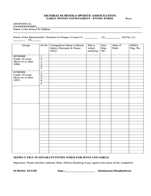 Tennis Ball Cricket Tournament Form Format