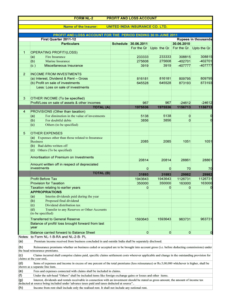 Profit and Loss PDF Filler Form