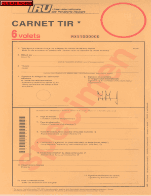 Tir Carnet Example  Form