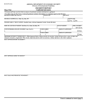  Ddd Incident Report 2010