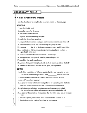 Vocabulary Skills a Cell Crossword Puzzle  Form