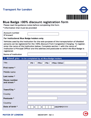 Blue Badge Application Form PDF