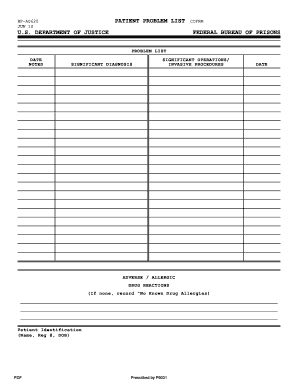 Medical Problem List Template  Form