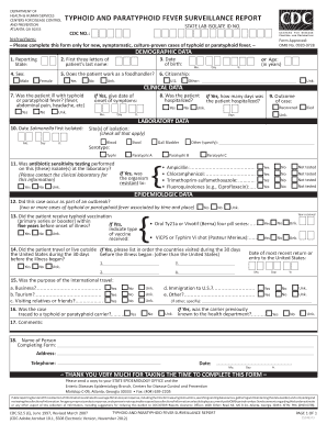  Typhoid Report 2012-2024