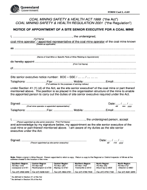 Appointment Form SSE Coal V2 03 Queensland Mining and Safety Mines Industry Qld Gov