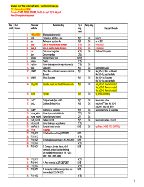 Bilant Contabil Model Word  Form