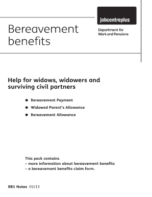 Government Widows Pension Allowance  Form