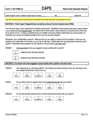 Pisq 12 Questionnaire PDF  Form