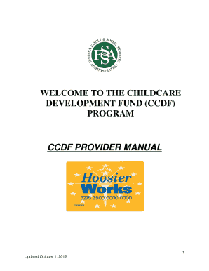 Ccdf Provider Form
