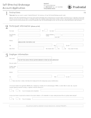 Prudential Self Directed 401k  Form