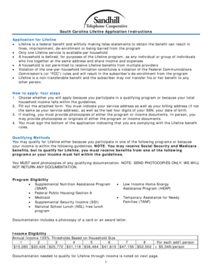 1 South Carolina Lifeline Application Instructions Application for Regulatorystaff Sc  Form