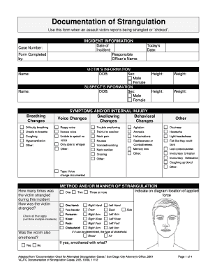  Documentation of Strangulation Form PDF 2012-2024